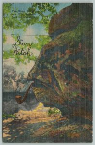 Lookout Mt Tennessee~Stone Witch Rock City Gardens~1940s Linen Postcard