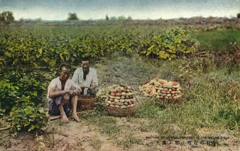 formosa taiwan, Farmers in the Melon Field (1930s) Postcard