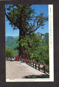 Sacred Tree Holy EW Crossway Taiwan Republic of  China Postcard