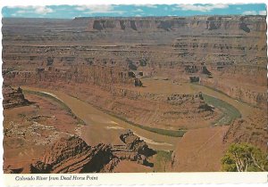 Colorado River from Dead Horse Point Near Moab Utah 4 by 6