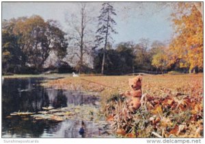 Teddy Bear Goes Fishing By Patrick and Mollie Matthews