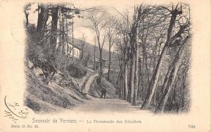 BR56196 la promenade des recolets Verviers     Belgium