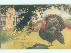 Divided-Back THANKSGIVING SCENE Great Postcard AA0543