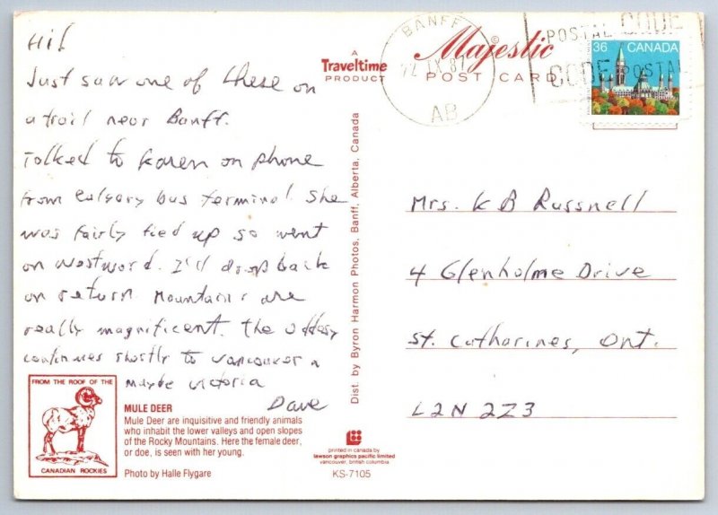 Mule Deer, Doe And Her Young, Canada, 1987 Postcard, Postal Code Slogan Cancel