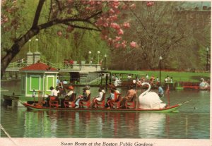 Postcard Swan Boats Boston Public Gardens Green Shrubs Boston Massachusetts MA