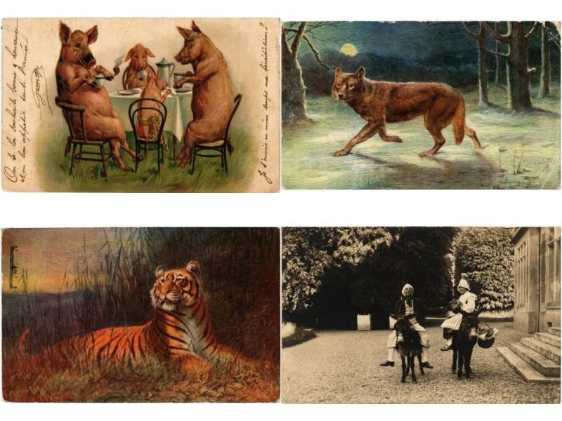 ANIMALS ANIMAUX MIX 300 CPA Pre - 1940