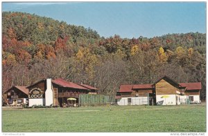 Bavarian Brook Lodge, Log Cabins, Chattahoochee River, Helena, Georgia 40-60s