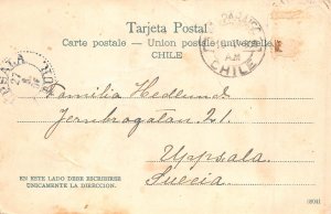 Chile Cordillera 1906 vintage postcard