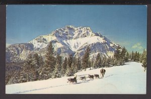 Scenic Northern Alaska Alaskan Sled Dog Team traveling through virgin snow
