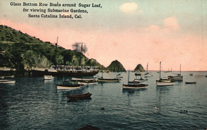 Vintage Postcard Glass Bottom Row Boats Sugar Loaf Submarine Gardens California