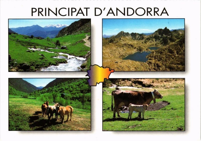 CPM AK Principat d'Andorra ANDORRA (1280216)  United States - Alaska -  Other, Postcard / HipPostcard