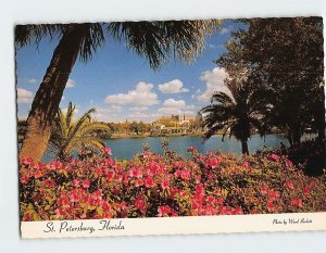 Postcard Azaleas Beside Mirror Lake, St. Petersburg, Florida