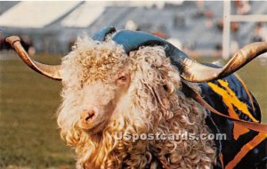 Bill the Goat, United States Naval Academy in Annapolis, Maryland