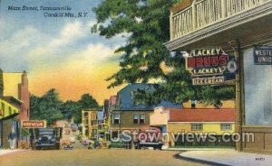 Main Street, Catskill Mtns. - Tannersville, New York