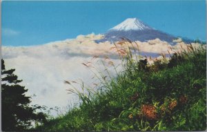 Japan Mount Fuji Vintage Postcard C156