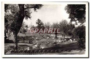 Postcard Moderne Vichy Parks and the new Swan Basin