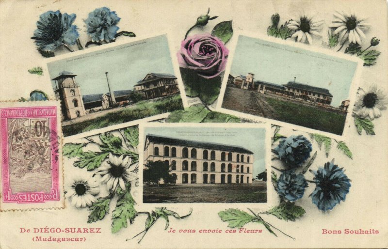 PC MADAGASCAR, DIEGO SUAREZ, JE VOUS ENVOIE CES FLEUR, Vintage Postcard (b31283)