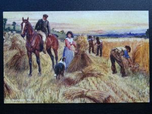 Country Rural Life THE HARVEST FIELD c1908 Postcard by Raphael Tuck 9514