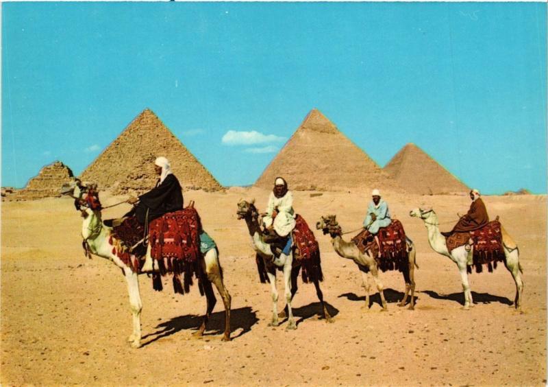 CPM EGYPTE Giza-Arab Camelriders in front of the Pyramids (343931)