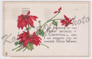 Fredonia NY Tuck's Poinsettia Christmas Greeting Postcard 544 Posted 