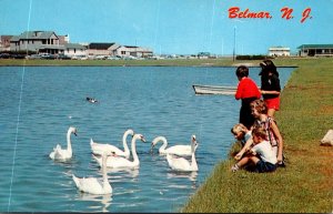 New Jersey Belmar Feeding The Swans In The Lake