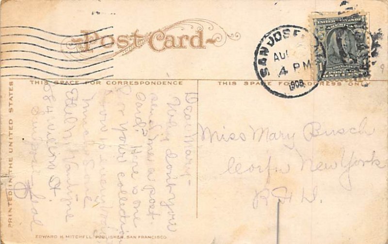 California Oranges California, USA Fruit Assorted 1906 