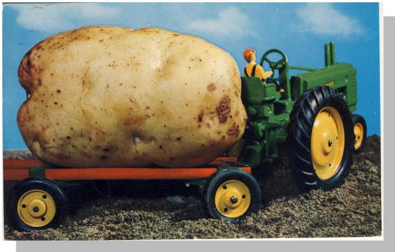 Hilarious Giant Potato Postcard, John Deere Tractor