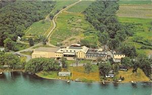 Hammondsport New York~Gold Sea Vineyards along Lake Keuka~Since 1865~1960s Pc