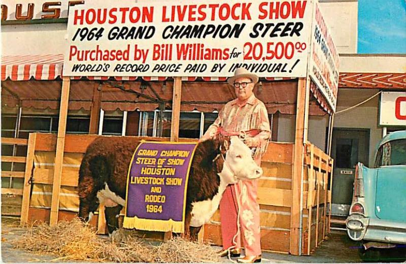 Grand Champion Steer at Houston Livestock Show,Cost $20,500 in 1964, Texas TX