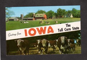 IA Greetings From Iowa Postcard Corn Tractor Cows Corn Stalks