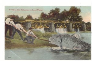 It Takes Real Fishermen To Land These, Exaggerated Fish, Antique 1913 Postcard
