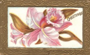 Vintage Postcard 1910 Greetings Embossed Card Large Print Petals Souvenir