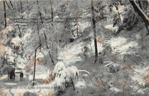 E92/ Newell West Virginia Postcard Newell Park 1909 Winter Scene 12
