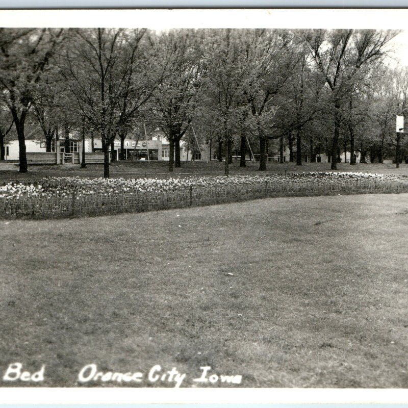 c1950s Orange City, IA RPPC Tulip Bed Grocery Store Coca Cola Sign Photo PC A112