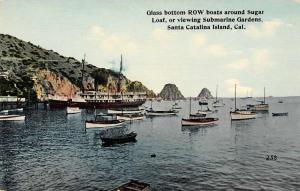 Santa Catalina Island California Glass Bottom Row Boats Postcard J47262