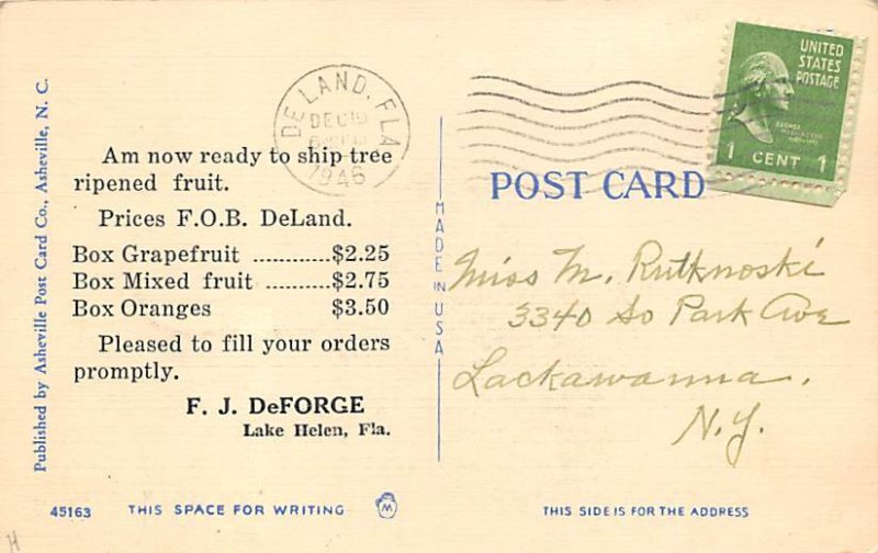 Florida's Golden Fruit Lake Helen FL Postcard