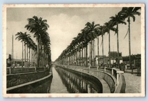 Rio De Janeiro Brazil Postcard Trees Road Canal do Mangue View c1930's Vintage