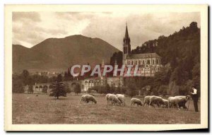 Old Postcard Lourdes Basilica View of the Grotto of meadow