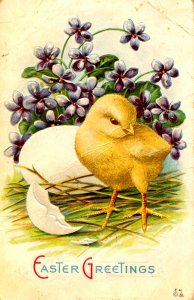 Greeting - Easter. Chick      (crease)