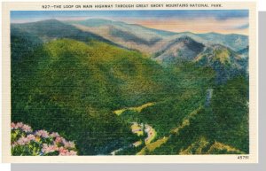 Smoky Mountains National Park, North Carolina/NC-TN Postcard, The Loop !