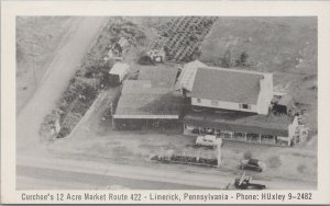 Postcard Curchoe's 12 Acre Market Route 422 Limerick PA