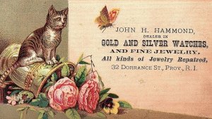 Lot of 4 John H. Hammond Lovely Cats Dogs Insects Victorian Trade Cards P120