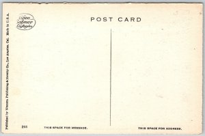 Pasadena California c1910 Postcard A Scene In Brookside Park