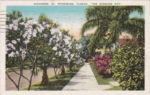 Florida St Petersburg Residential Scene With Oleanders In Bloom 1933