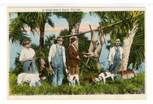 Good Day's Hunt in Florida.  Dogs & Deer