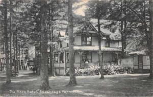 Sacandaga Park New York Pines Hotel Street View Antique Postcard K80117