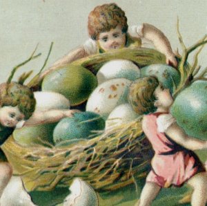 1880s Embossed Fantasy Easter Card Fairies Little Children Nest Bird Eggs F127
