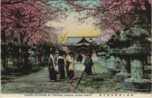 PC CPA TOKYO cherry blossoming Toshogu Uyeno JAPAN (a17715)