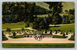 Bair's Tourist Park near Hepburnville Pennsylvania Vintage Linen Postcard 1671