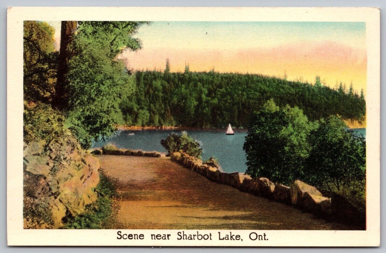 Ontario Canada Sharbot Lake Scenic Natural Forest Landscape WB Postcard